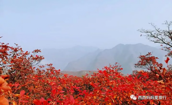 遊房山坡峰嶺 看萬山紅遍