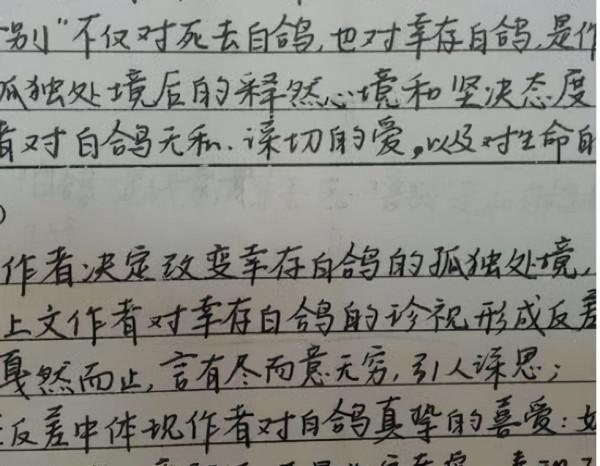 高中生“刺蝟”字型火了,筆畫工整又好像帶刺,老師:不敢多看 高中生“刺蝟”字型火了,筆畫工整又好像帶刺,老師:不敢多看