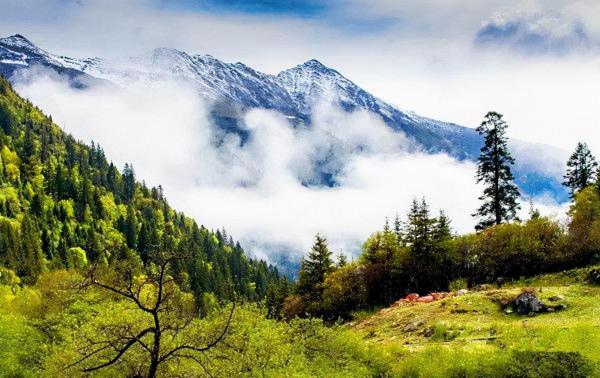 四川的避暑勝地，在最熱的時候也要穿上長袖，遊客絡繹不絕