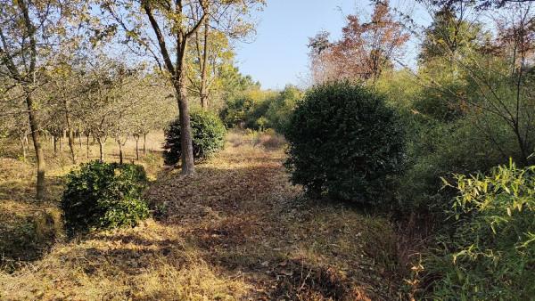 向左還是向右該何去何從，男人的野性在呼喚