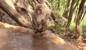 30張圖看奇妙世界，荷蘭街頭另類建築，女子用舌頭停風扇