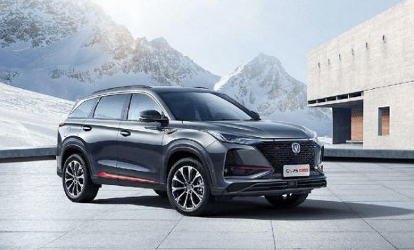 內卷下的自主四強：誰才是最後的贏家？