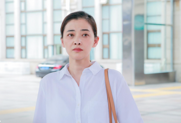 《不惑之旅》收視奪冠，梅婷又一新劇開播，搭檔是國家一級演員