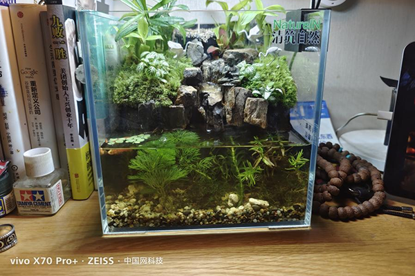 vivo X70 Pro+上手體驗：一部可以讓人愛上攝影的高階旗艦