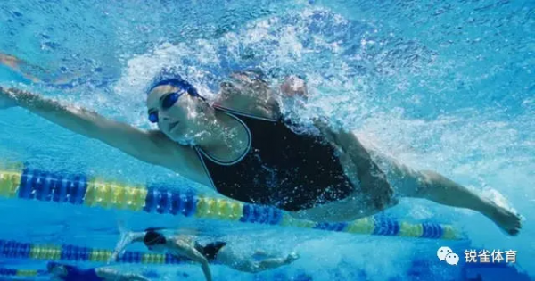 做好這幾點，自由泳呼吸就能氣如長虹