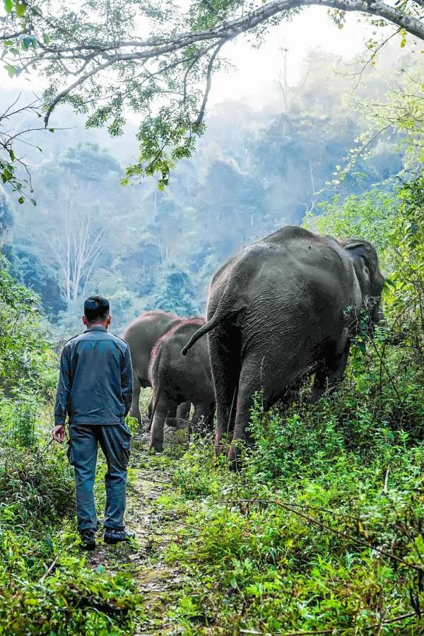 2021年度動物，是誰？