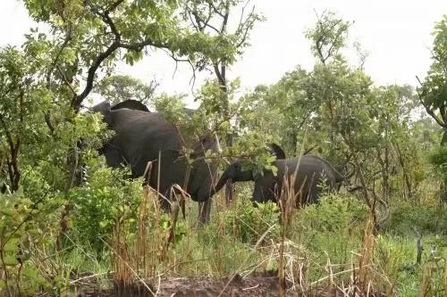 世界美景,我們共賞@非洲獅據點彭賈裡公園 世界美景,我們共賞@非洲獅據點彭賈裡公園