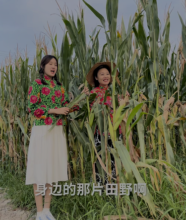 被質疑落魄街頭賣葡萄的“草帽姐”徐桂花,打了多少人的臉? 被質疑落魄街頭賣葡萄的“草帽姐”徐桂花,打了多少人的臉?