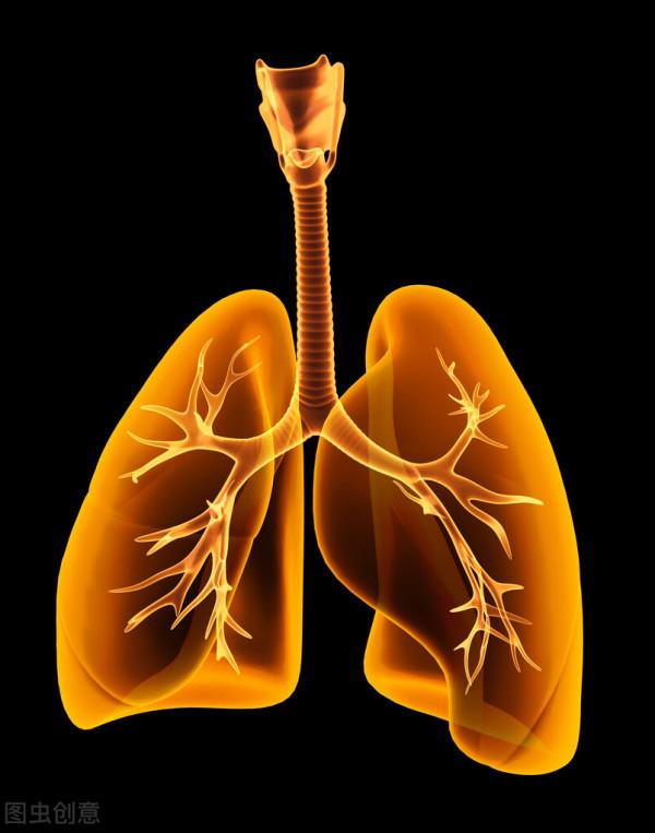 為啥不少醫生都不建議做磁共振檢查呢?醫生告訴您實情 為啥不少醫生都不建議做磁共振檢查呢?醫生告訴您實情