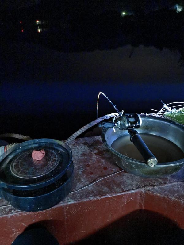 2022年2月4日至此時釣生最大黃尾，黃尾不怕你大嘴也只有一點點大