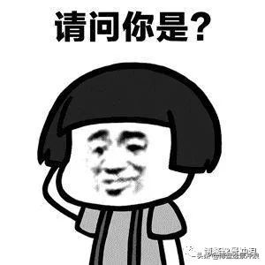 在澳洲，連雞都開始衝浪了