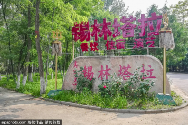 免門票！森林公園裡藏著個“小內蒙古”，還免費停車~