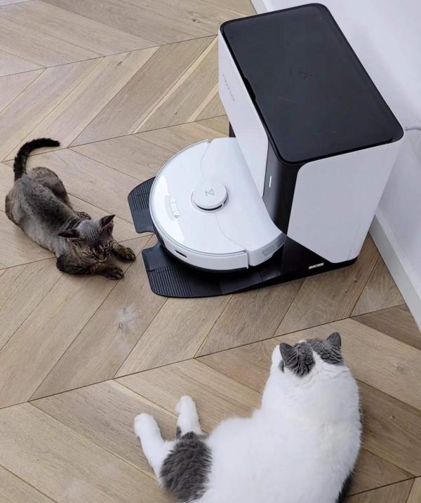 入住2年多的家依舊乾淨整潔,全靠這2件家居好物,懶人的福音 入住2年多的家依舊乾淨整潔,全靠這2件家居好物,懶人的福音