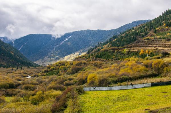 看川西彩林 這一條環線就夠了 畢棚溝-米亞羅-奶子溝-卡龍溝-牟尼溝
