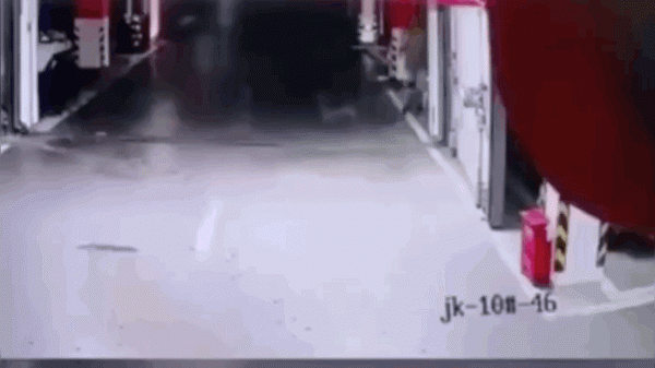 愛狗就要對它負責！