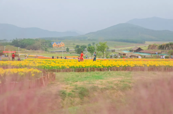 菜吧:從無人問津的村,到年接待遊客800萬的網紅村,它做對什麼 菜吧:從無人問津的村,到年接待遊客800萬的網紅村,它做對什麼
