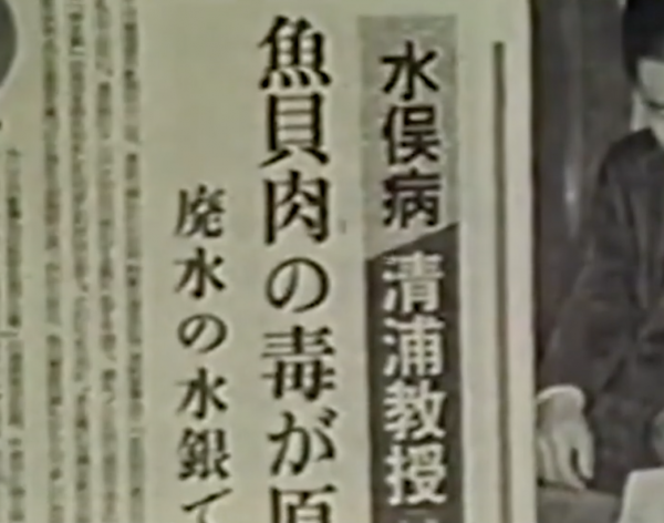 幾萬只貓排隊跳海自盡，連人類也不能倖免，喪屍真的存在嗎？