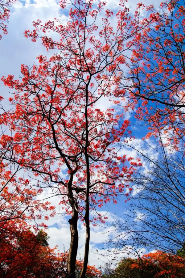 年初的旅行計劃都實現了嗎？這12個地方人少景美，再不去就晚了