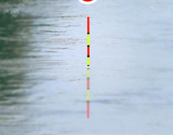 調漂一定要帶鉤嗎? 調漂一定要帶鉤嗎?