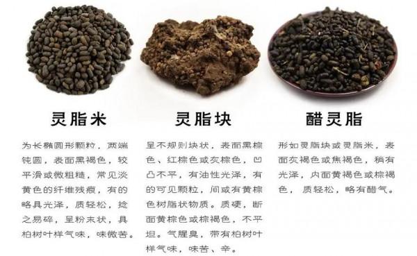 每天學習一味中藥——五靈脂