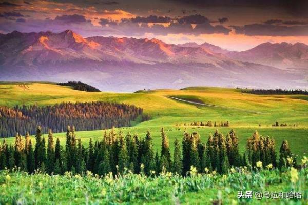除了美景,新疆這些美食出了新疆味道大不同|大盤雞|烤饢|酸奶 除了美景,新疆這些美食出了新疆味道大不同|大盤雞|烤饢|酸奶