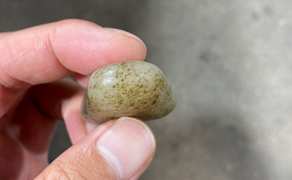 真皮花料子,小料一枚 真皮花料子,小料一枚