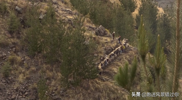 世界上最獨特的繩索橋,500年來當地人堅持用“草繩”造橋 世界上最獨特的繩索橋,500年來當地人堅持用“草繩”造橋