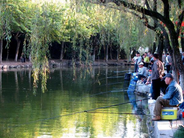 冬季自然水域釣魚的十二個技巧 冬季自然水域釣魚的十二個技巧