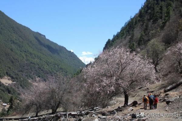 這條徒步線路太美了，這線路適合想去而沒有去過高原的人