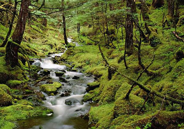 年少飲酒,老來喝茶?辛棄疾的這首《定風波》為何能與眾不同? 年少飲酒,老來喝茶?辛棄疾的這首《定風波》為何能與眾不同?