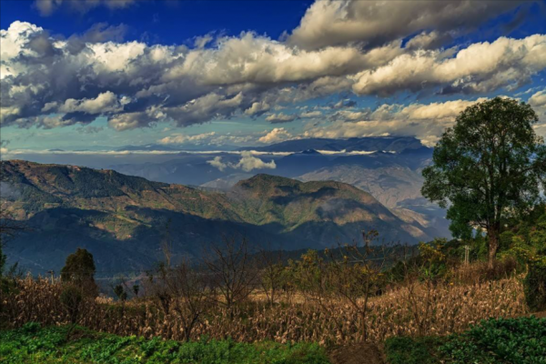 雲南83歲老人隱居60年，晚年出山見人就問：日軍打到哪兒了？