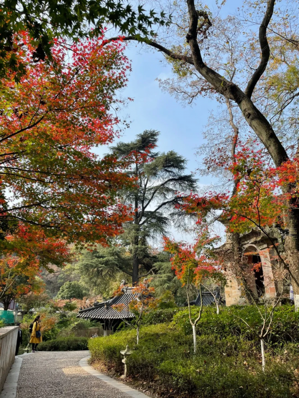 《12月限定丨國內旅行目的地指南》