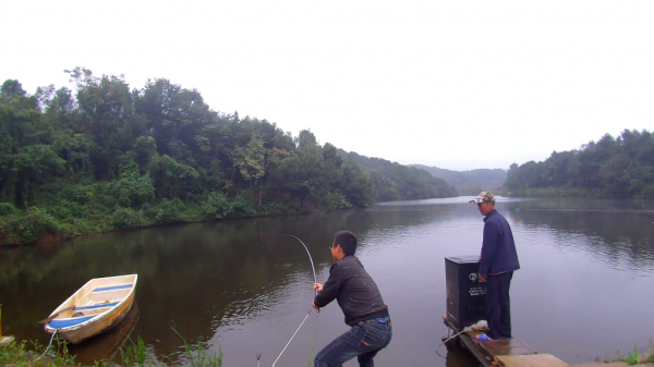 適合新手使用魚竿盤點，好用價效比高，20斤無壓力