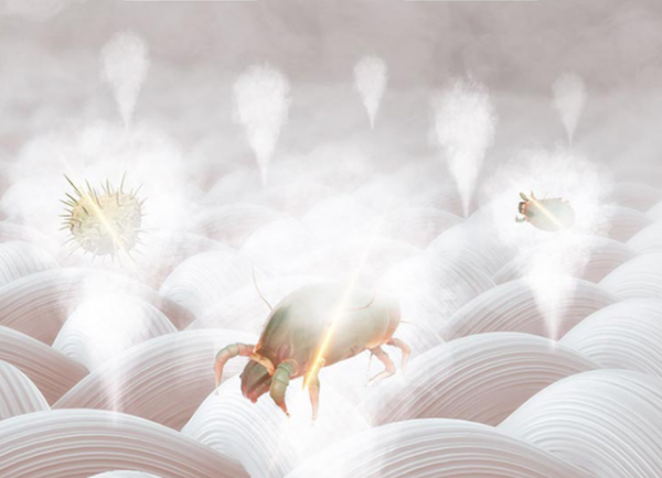 買的真值！10公斤洗烘一體變頻全自動滾筒洗衣機，好用不貴