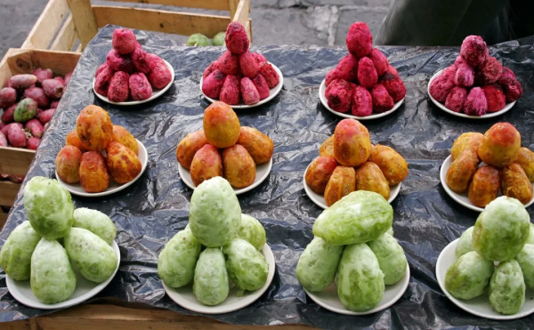 仙人掌果，美國西南部特產，巴以民族身份象徵