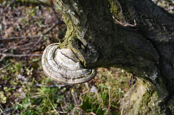 半野釣——山頂的魚塘