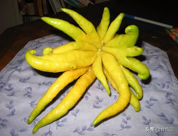 長成手指開花一樣的果子能吃嗎?好吃嗎?怎麼吃? 長成手指開花一樣的果子能吃嗎?好吃嗎?怎麼吃?