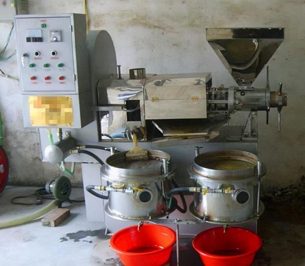 農村自榨油真的更健康嗎?和超市桶裝油相比,到底哪個更好? 農村自榨油真的更健康嗎?和超市桶裝油相比,到底哪個更好?