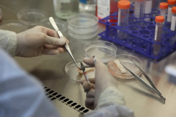 細胞到底能存多久？今天就來講講細胞凍存那些事兒