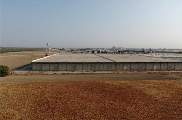 國外機構丟擲大瓜：賈躍亭就是個騙子！FFIE一輛車也不會賣出去