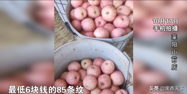 對於今年的蘋果趨勢,​我想說幾句 對於今年的蘋果趨勢,​我想說幾句