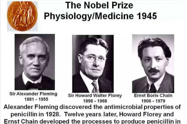 青黴素：一個“意外”發現，卻拯救了數以萬計的生命