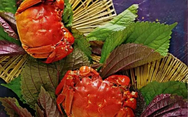 宣醫科普｜海鮮大餐令人垂涎？看完這些提醒再吃也不遲