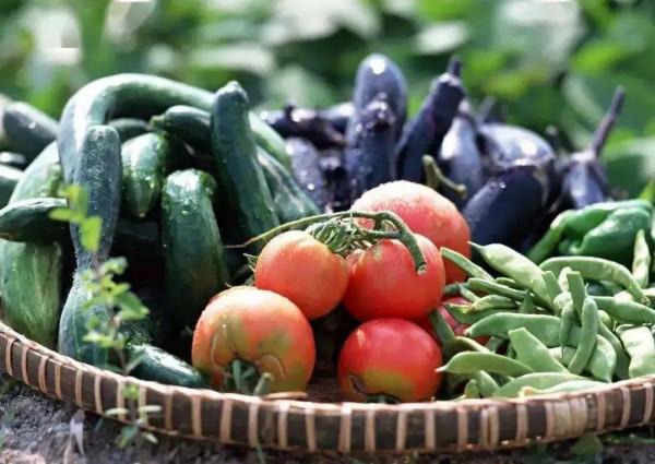 10種越吃越瘦的美食，讓你一週可出去“作”兩次