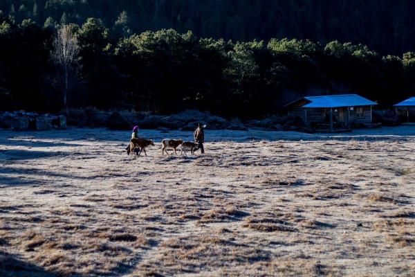 住進遺落人間的天堂 哈弗M6 PLUS生活記