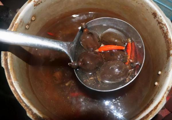 從科學角度來講，那些新增罌粟的食物會讓人上癮嗎？