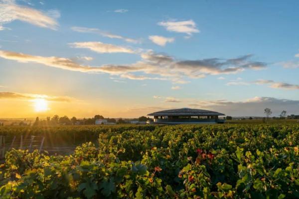 360度全景圓頂酒莊，釀酒旅遊兩不誤