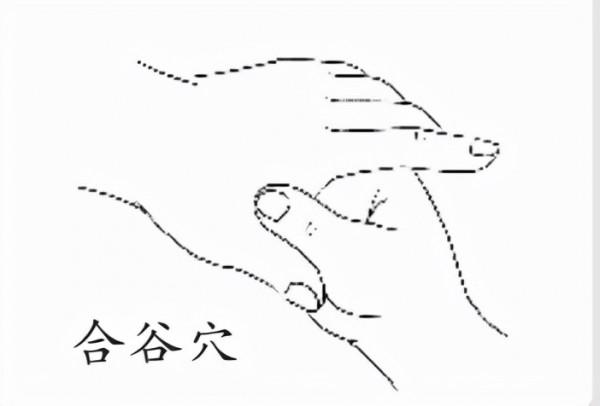 頭痛、牙痛、胃痛…身體自帶7個“止痛開關”,哪痛自己按哪 頭痛、牙痛、胃痛…身體自帶7個“止痛開關”,哪痛自己按哪