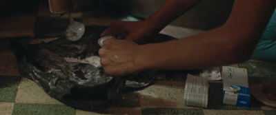 何以為家？唯有愛才是家