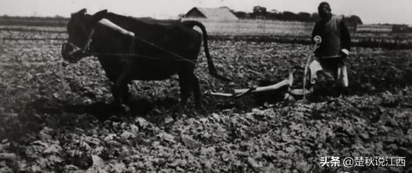 一組老照片,帶你看看清末江西的樣子 一組老照片,帶你看看清末江西的樣子